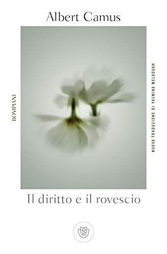 Cover of Il diritto e il rovescio