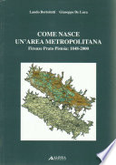 Cover of Come nasce un'area metropolitana