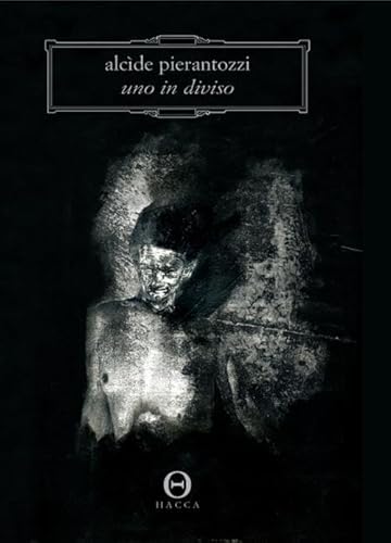 Cover of Uno in diviso