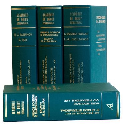 Cover of Les règles et institutions du droit international humanitaire à l'épreuve des conflits armés récents