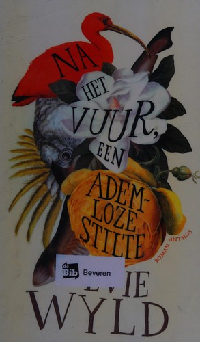Cover of Na het vuur, een ademloze stilte