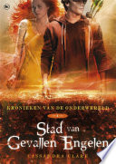 Cover of Stad van Gevallen Engelen