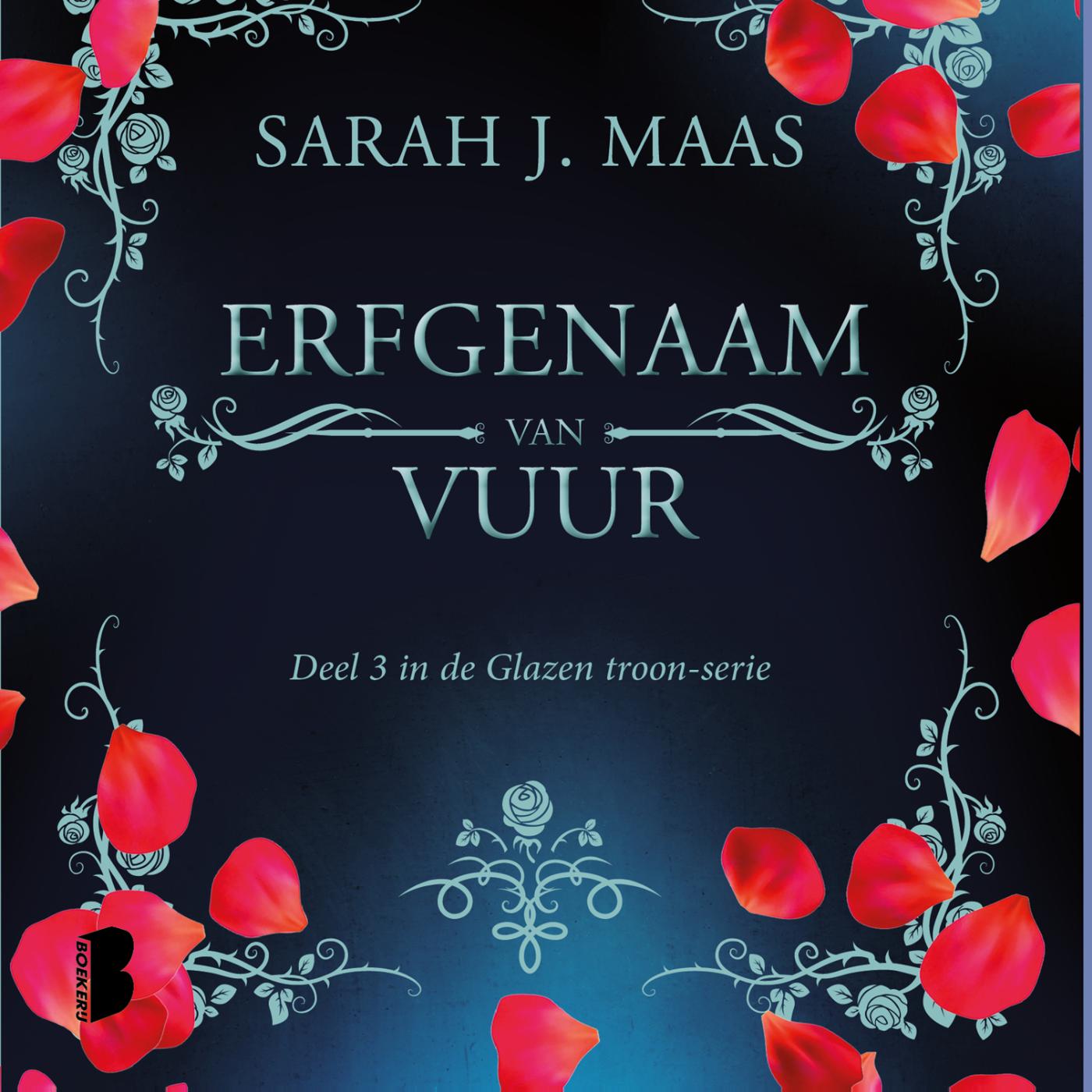 Cover of Erfgenaam van vuur