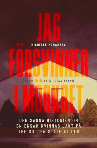 Cover of Jag försvinner i mörkret