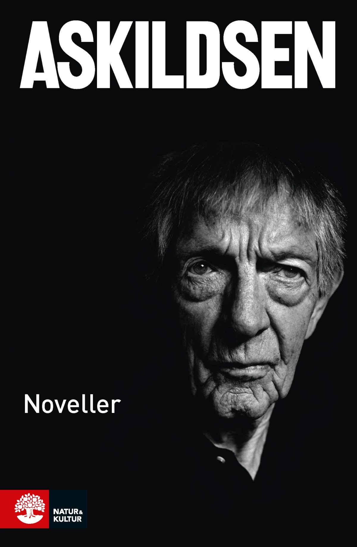 Cover of Noveller