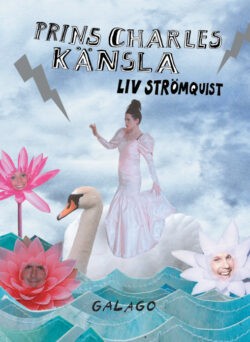 Cover of Prins Charles känsla