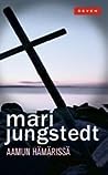 Cover of Aamun hämärissä