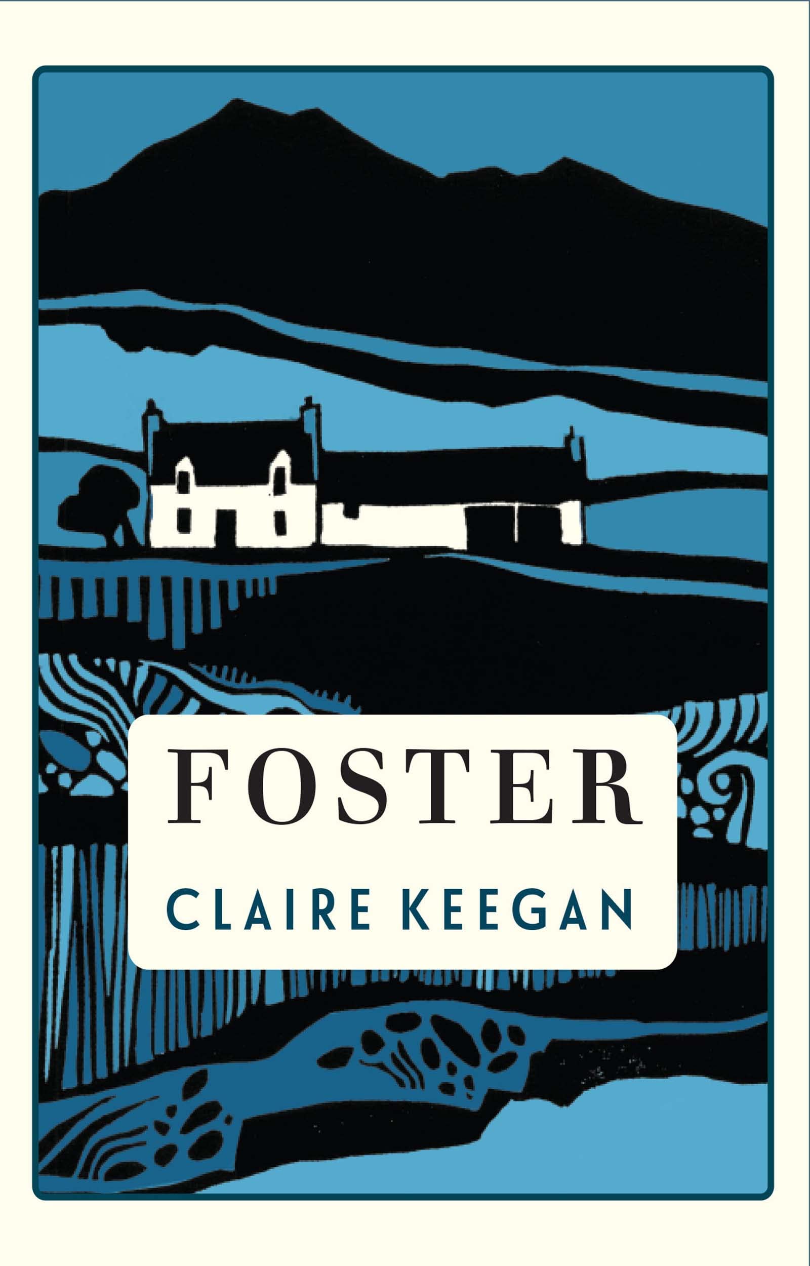 Cover of Foster