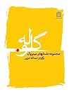 Cover of گلوله: مجموعه داستانهای مینیمال