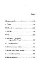 Cover of Herir tu fiera carne