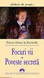 Cover of Focuri vii / Poveste secreta