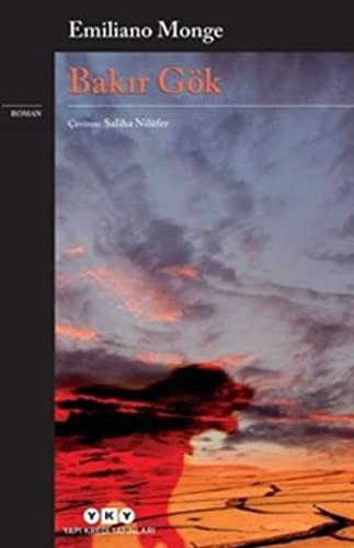 Cover of Bakir Gok