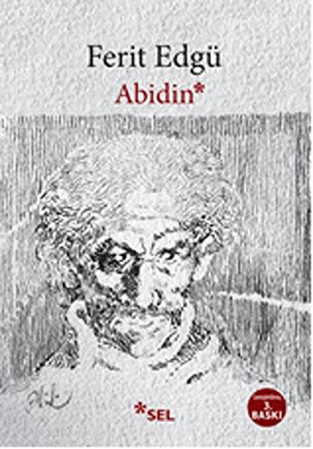 Cover of Abidin