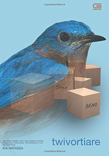 Cover of Twivortiare