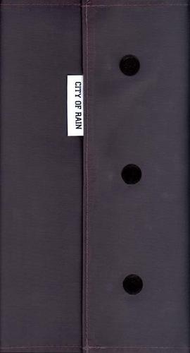 Cover of City of rain