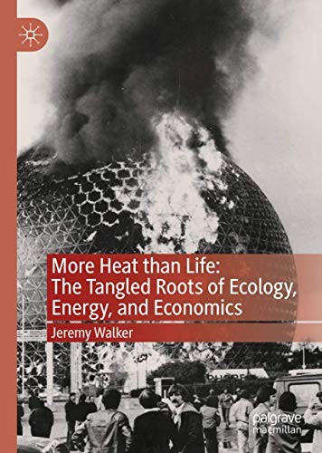 Cover of More Heat than Life