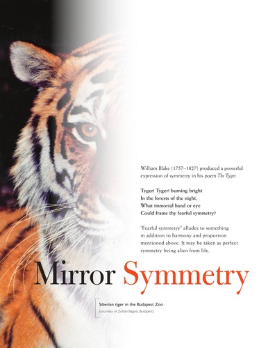 Cover of Visual symmetry