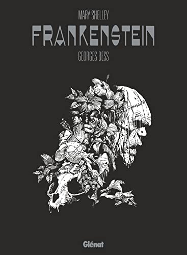 Cover of Frankenstein