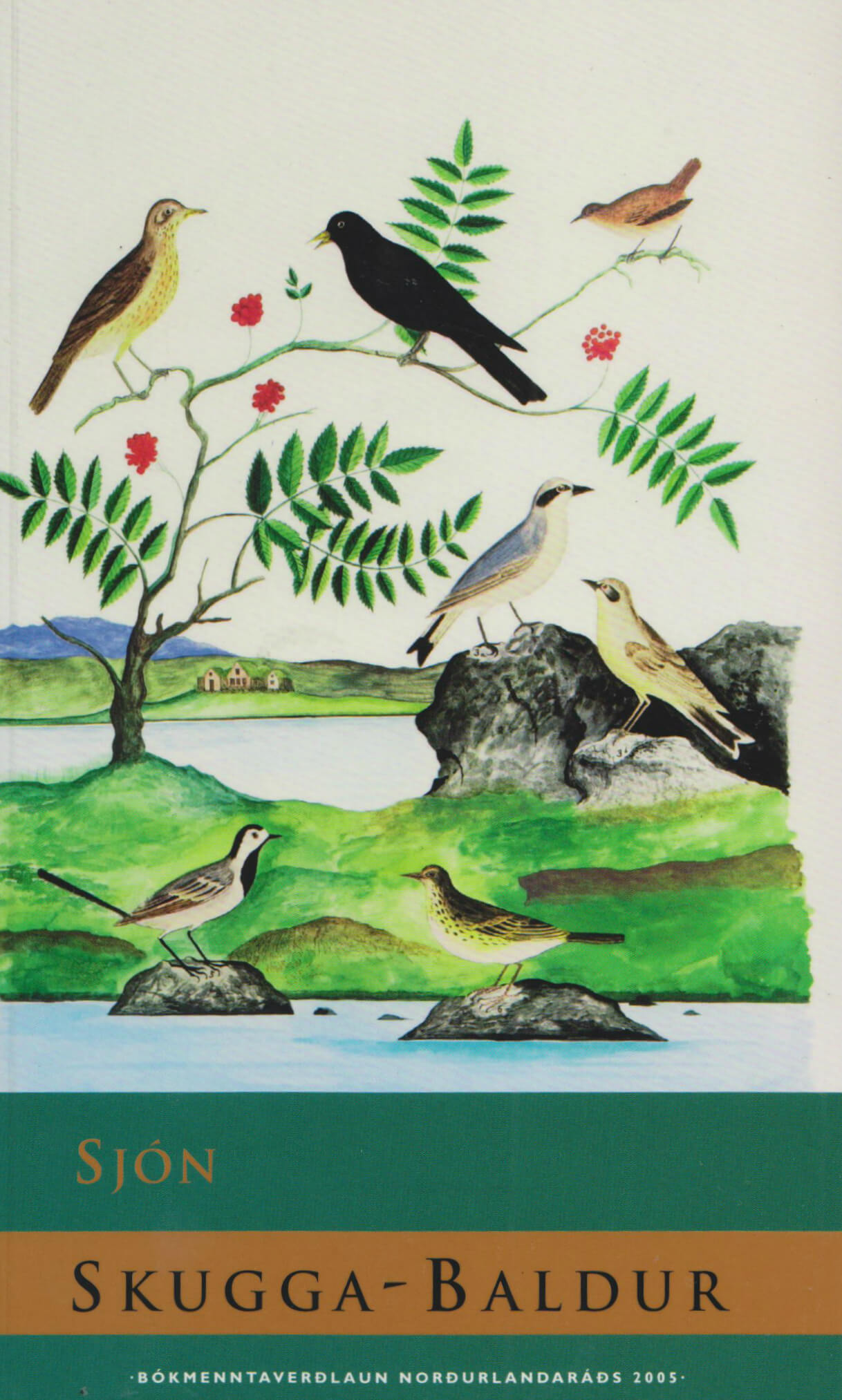 Cover of Skugga-Baldur