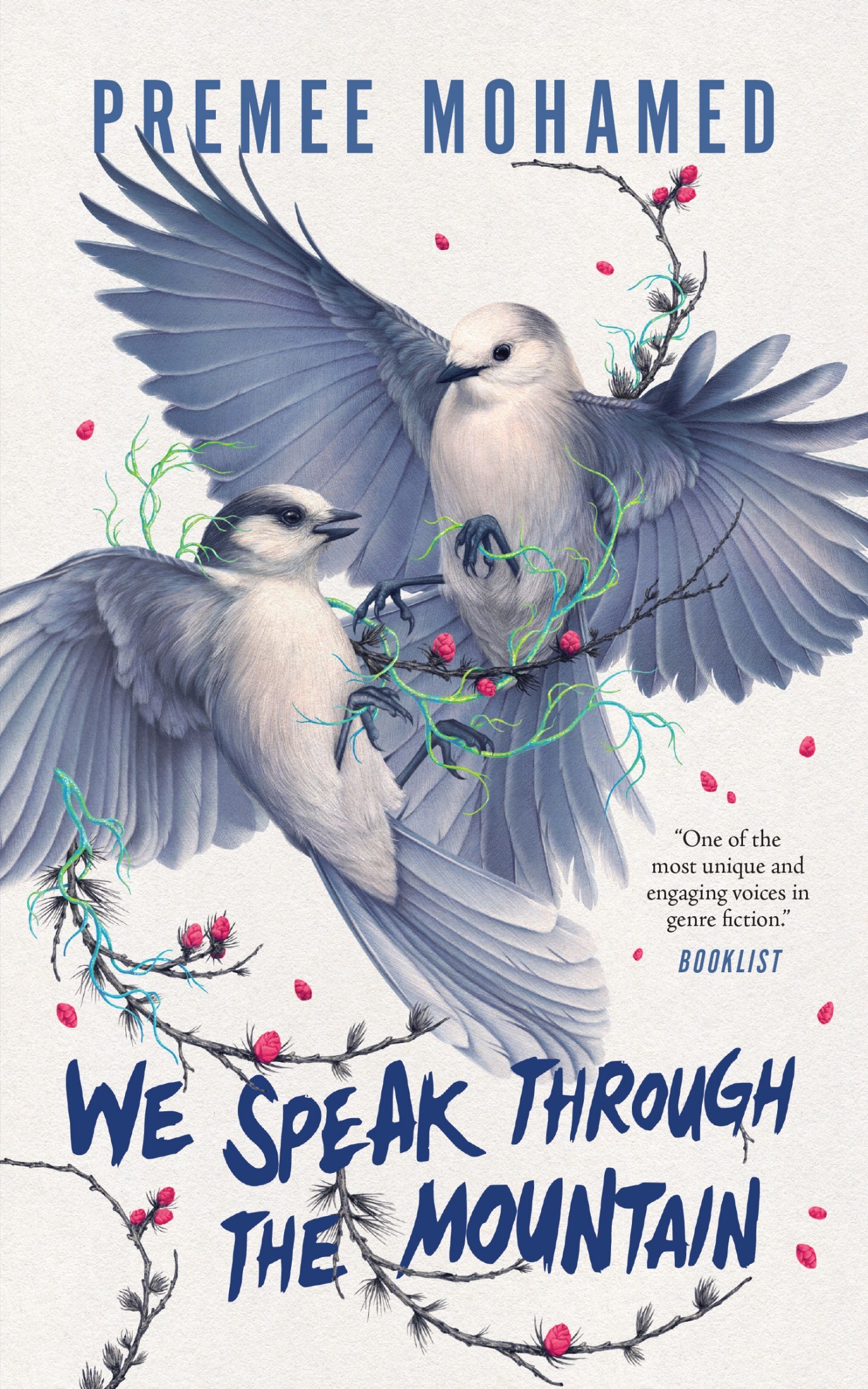 Cover of We Speak Through the Mountain