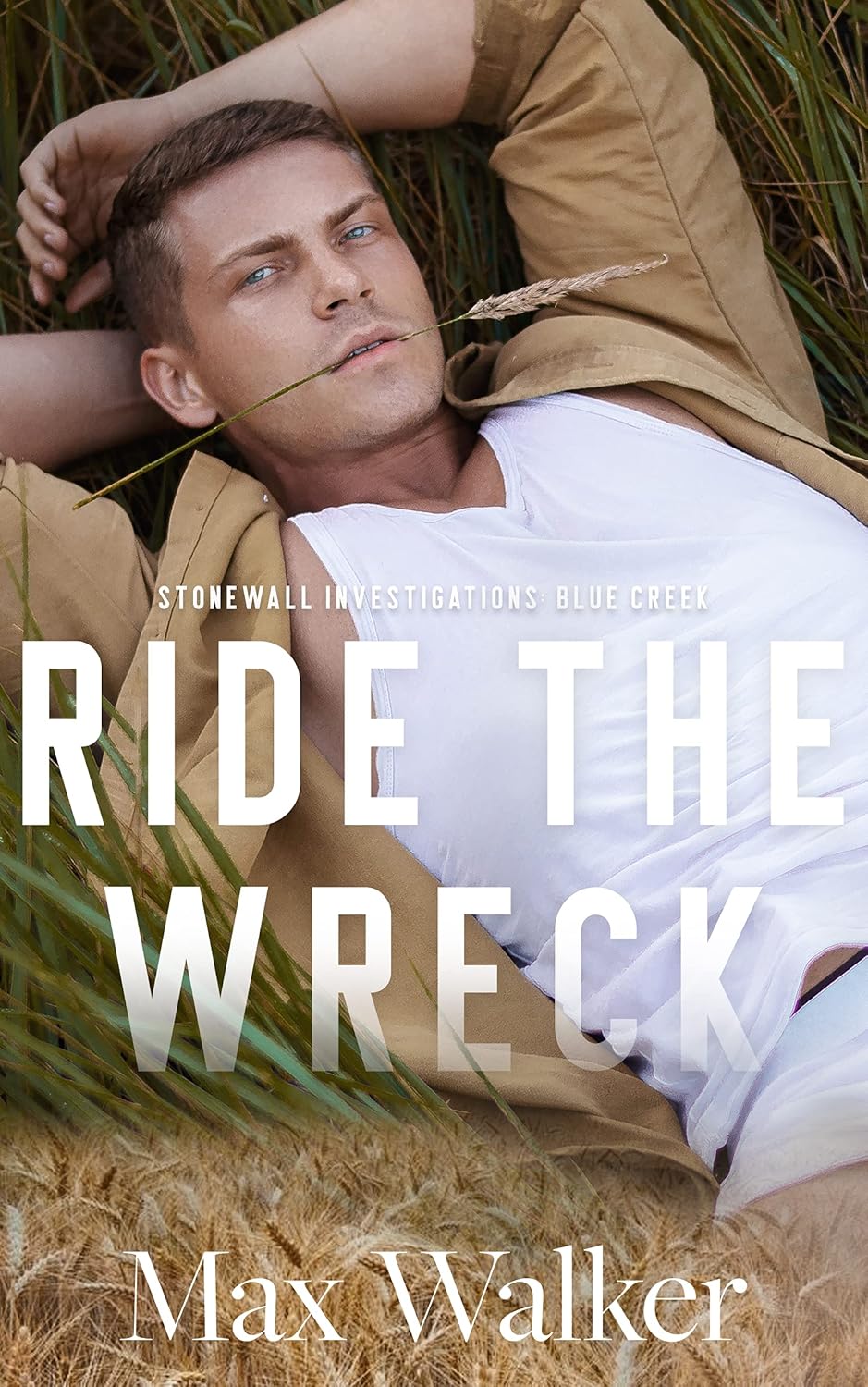 Cover of Ride the Wreck