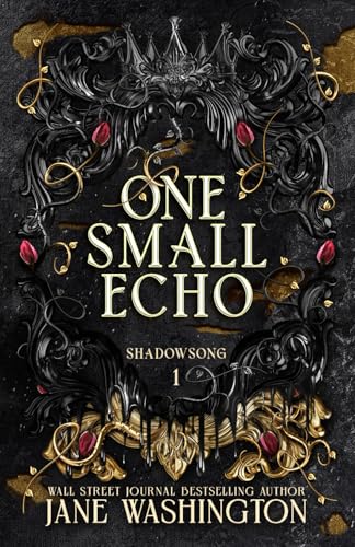 Cover of One Small Echo