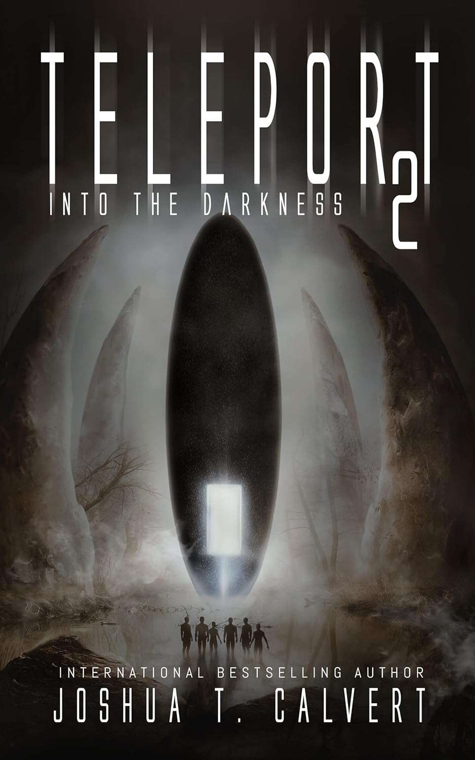 Cover of Into the Darkness