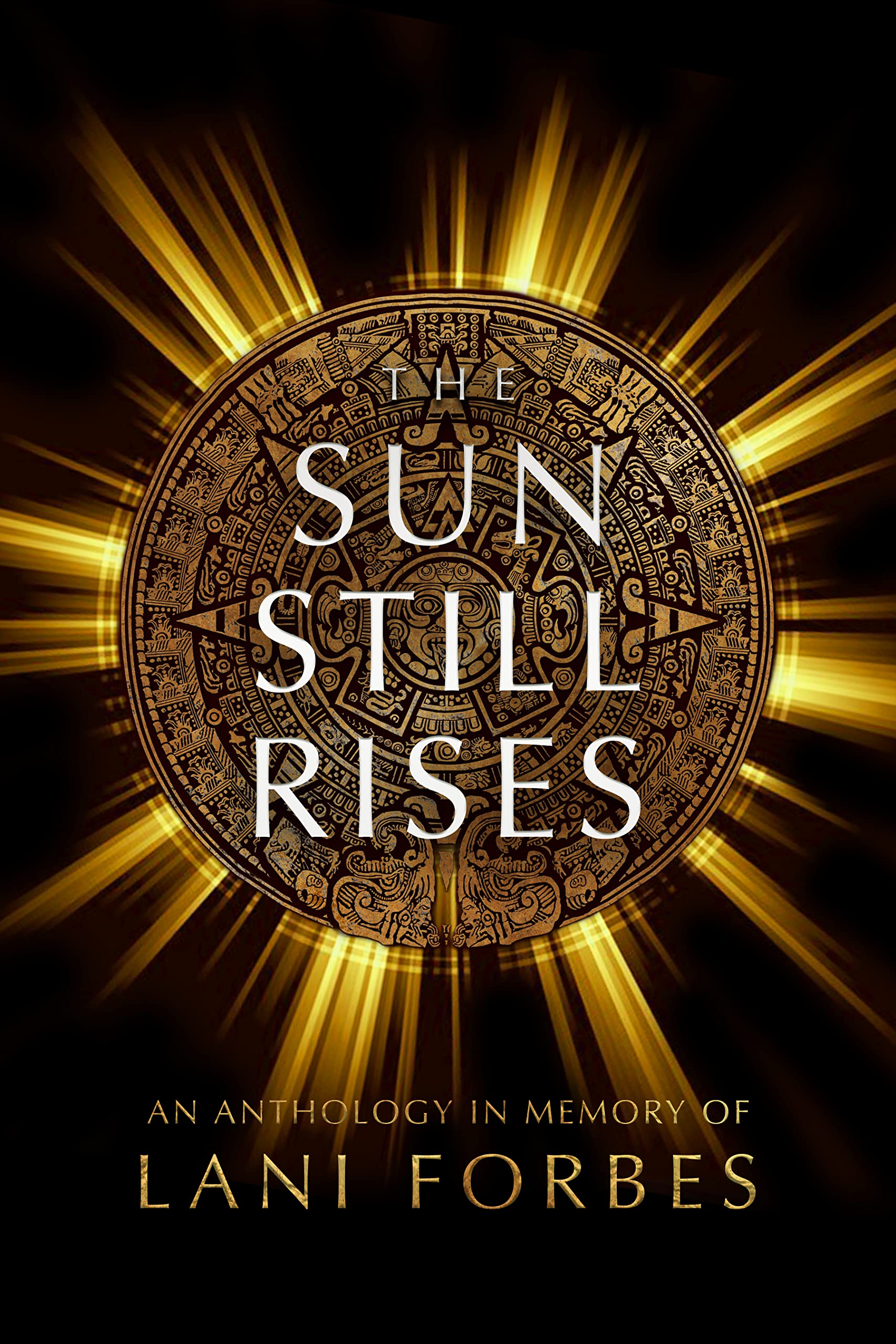 Cover of The Sun Still Rises