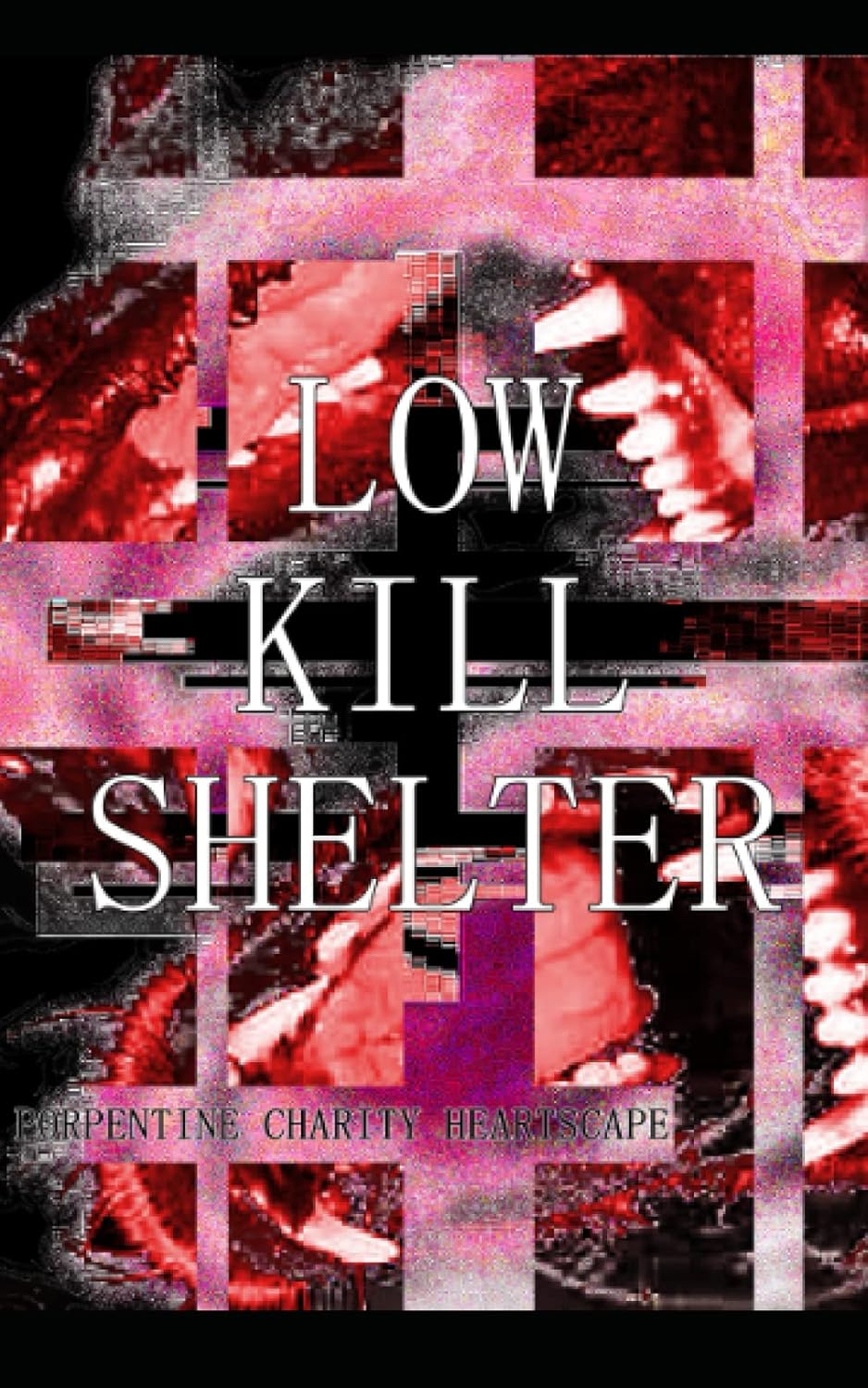 Cover of Low Kill Shelter