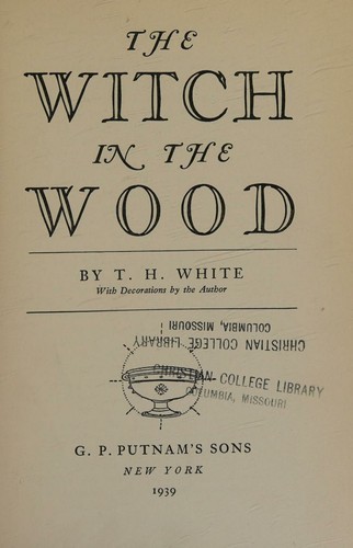 Cover of The witch in the wood