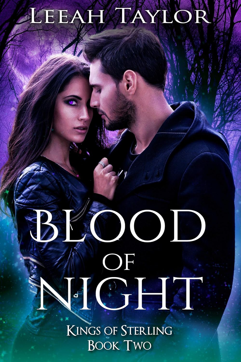 Cover of Blood of Night