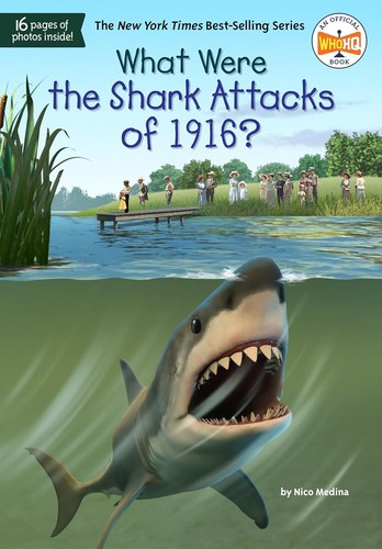 Cover of What Were the Shark Attacks Of 1916?