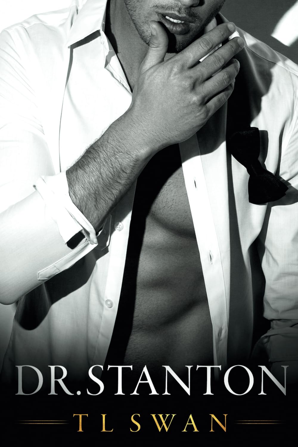 Cover of Dr Stanton