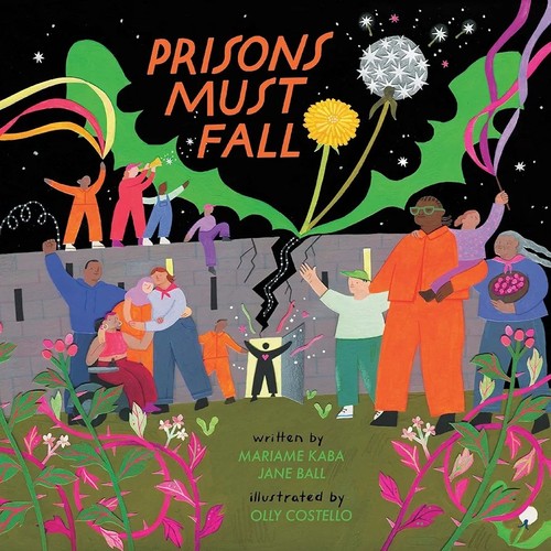 Cover of Prisons Must Fall