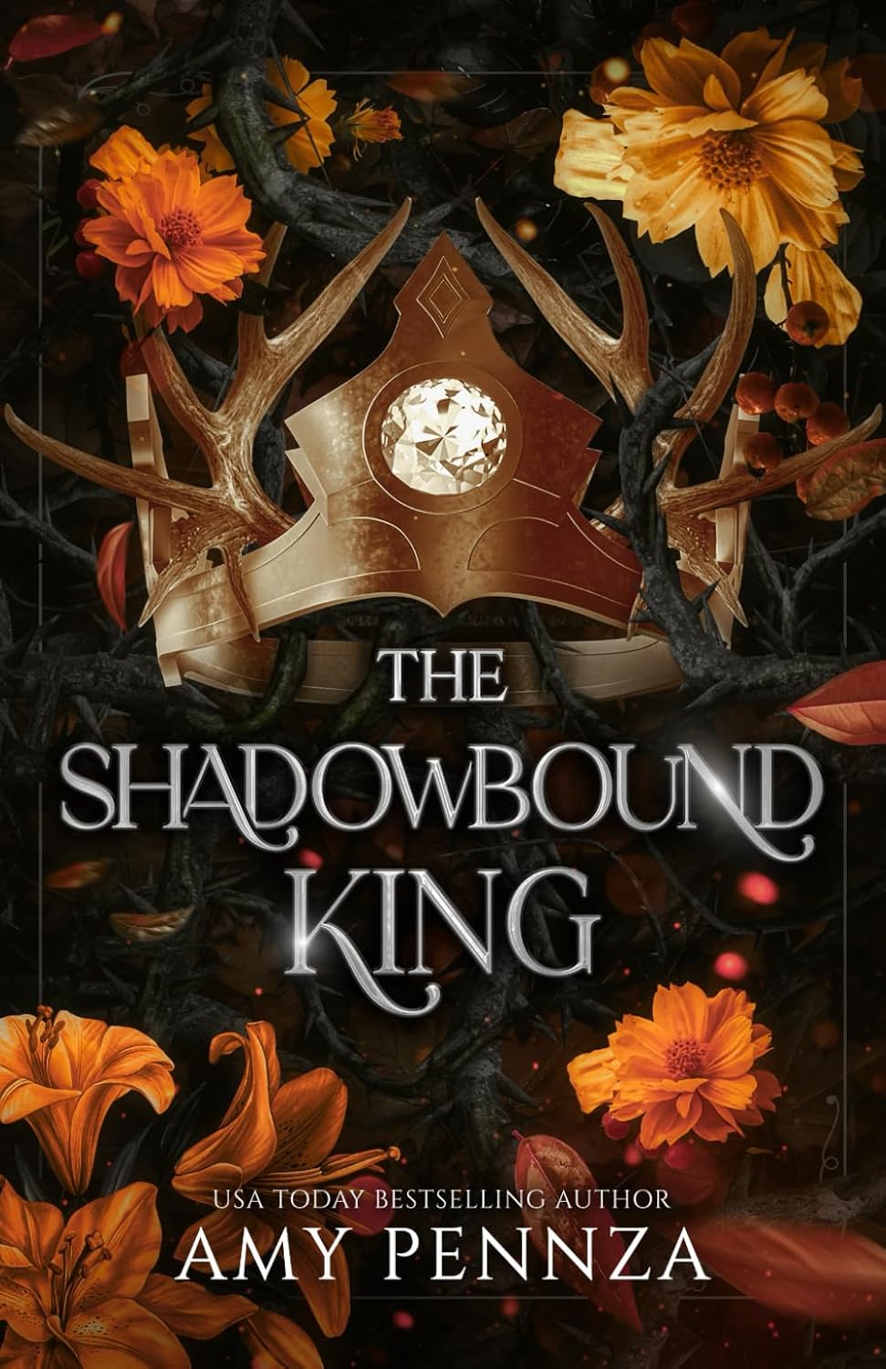 Cover of The Shadowbound King