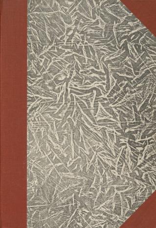 Cover of Terror on Troll Mountain