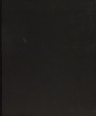 Cover of Det gåtefulle Norge : mystiske steder, sagn, folketro