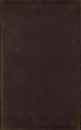 Cover of Changing the Speed of Light Bulbs