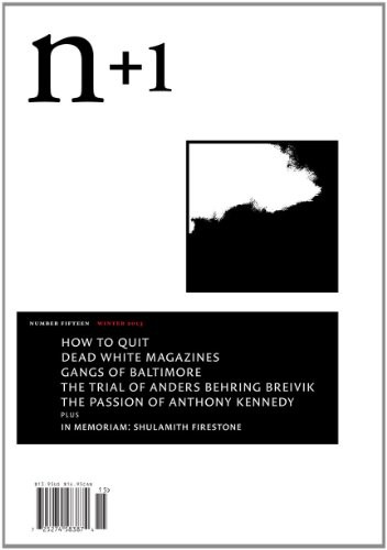 Cover of n+1 Issue 15: Amnesty
