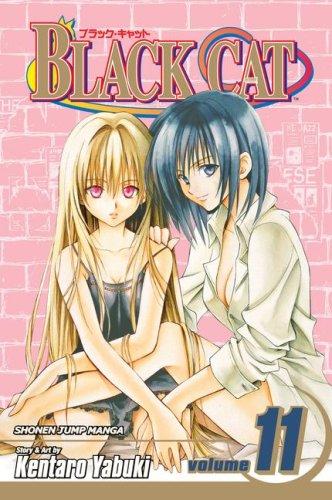 Cover of Black Cat, Volume 11