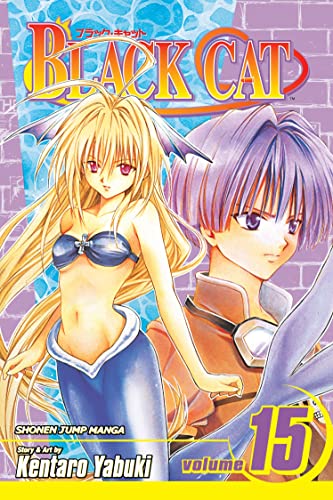 Cover of Black Cat, Volume 15