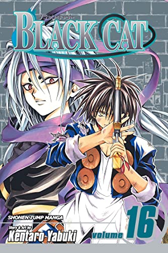 Cover of Black Cat, Volume 16