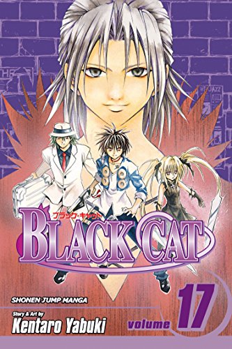Cover of Black Cat, Volume 17