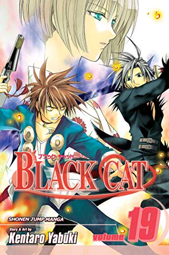 Cover of Black Cat, Volume 19