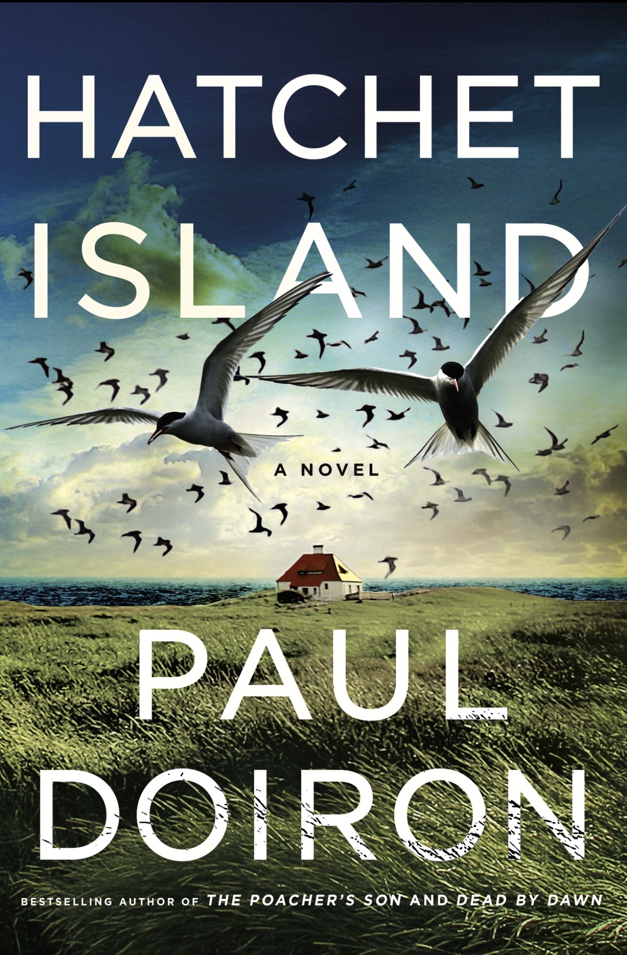 Cover of Hatchet Island: A Novel