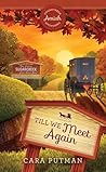 Cover of Till We Meet Again