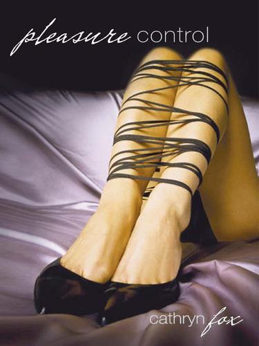 Cover of Pleasure Control