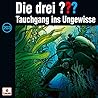 Cover of Die drei ??? Tauchgang ins Ungewisse