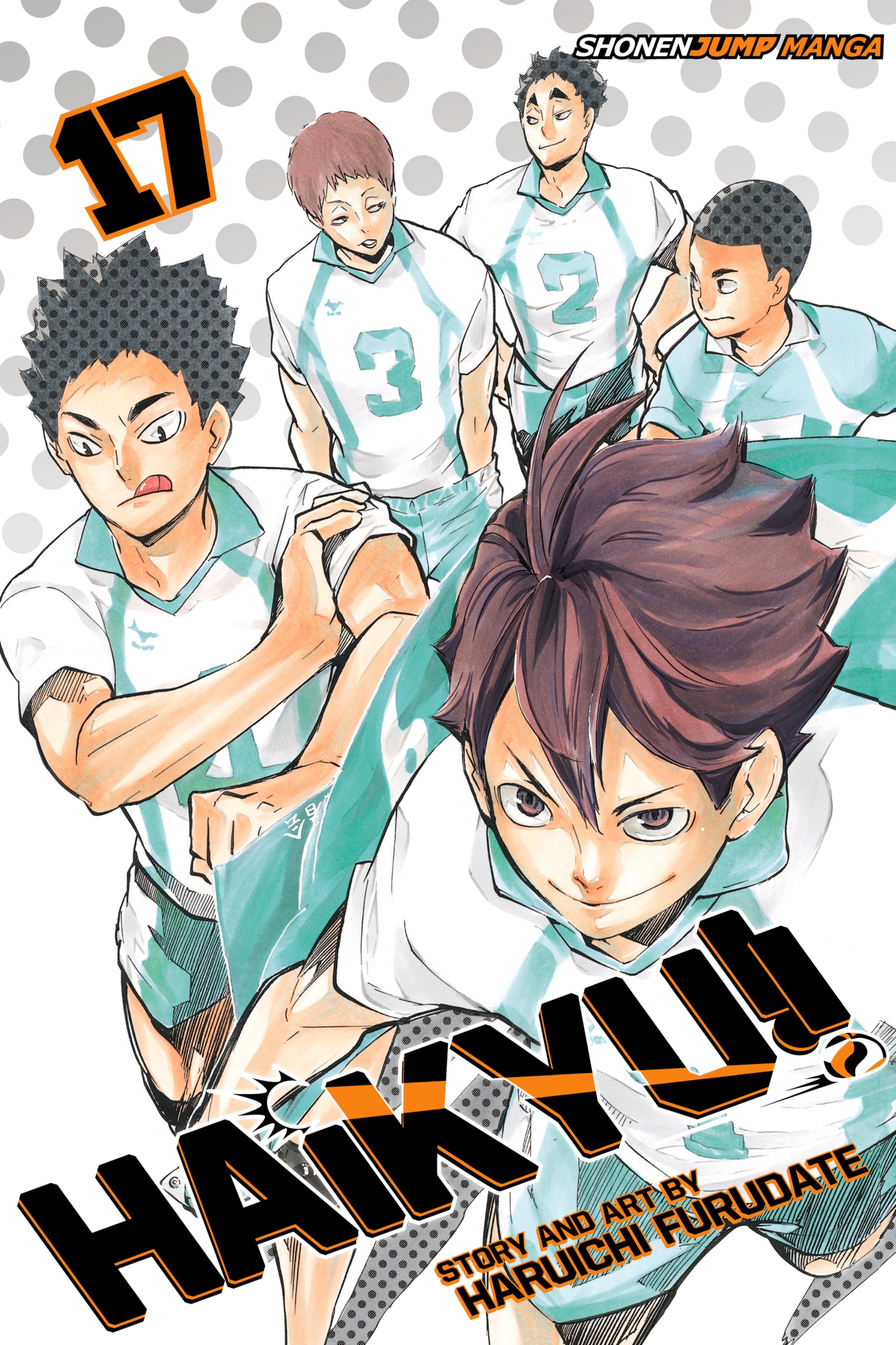 Cover of Haikyu!!, Vol. 17: Talent and Instinct