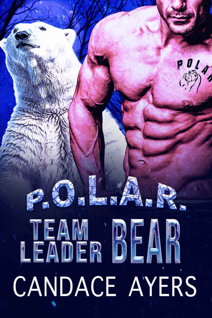 Cover of Team Leader Bear